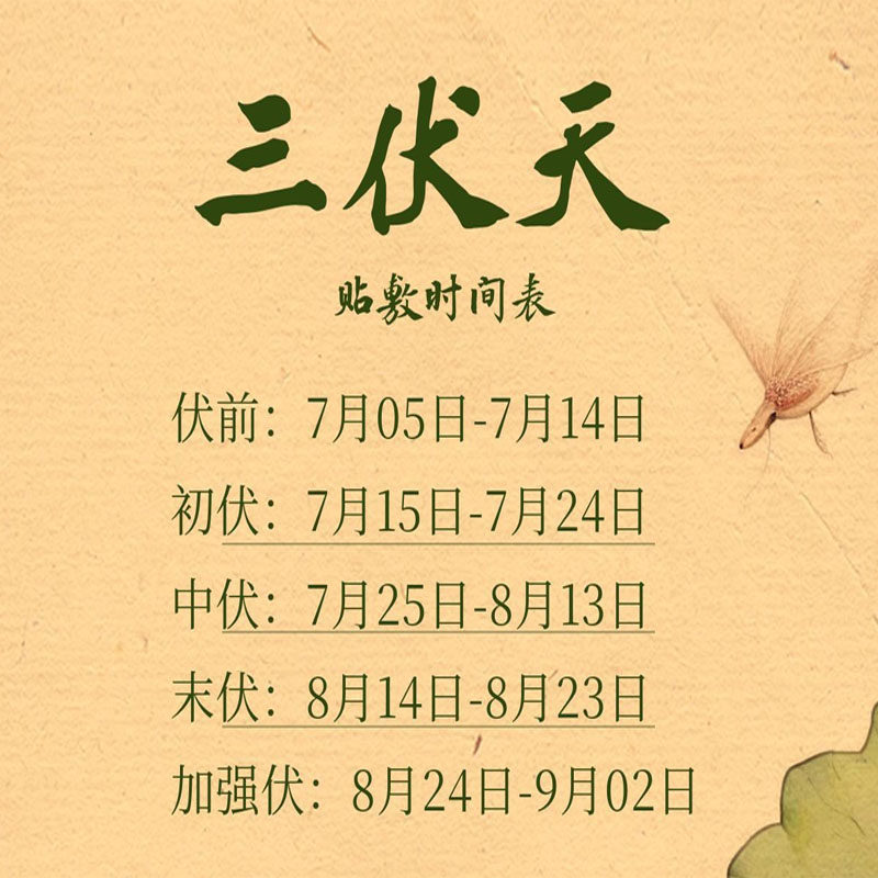 儿推店同款三伏贴组合儿童脾胃贴咳喘贴组合成人三伏扶阳贴固元贴
