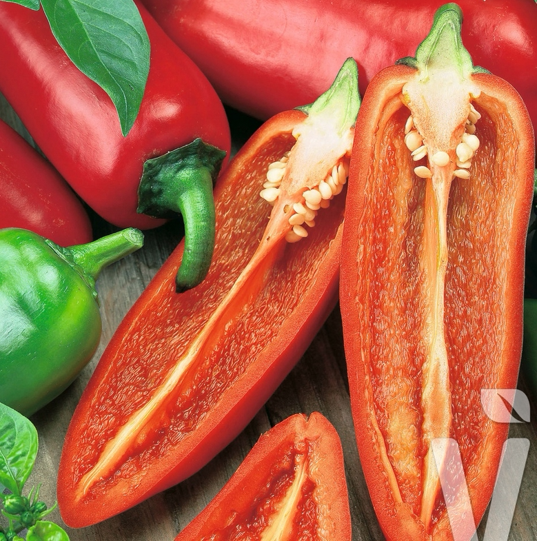 进口品种鲜食小辣椒 糖度10 的生吃零食水果辣椒 甜美爽脆可口