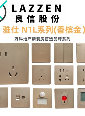 Nader良信雅仕N1L香槟金单开双控五孔16A空调电脑USB开关插座面板