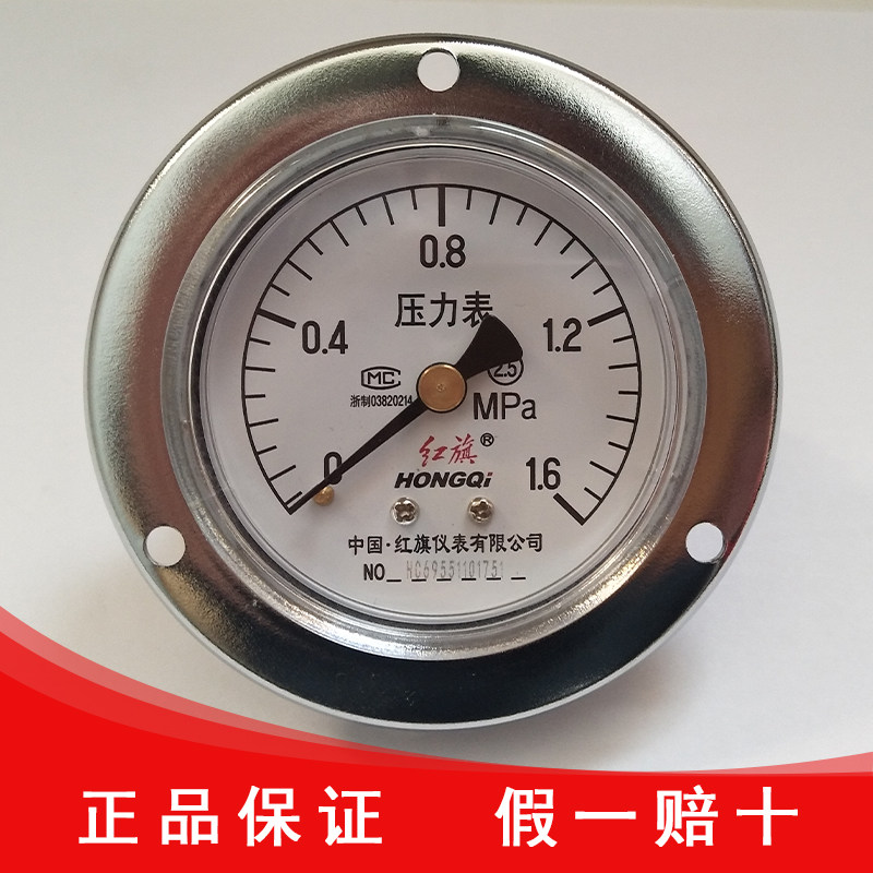 红旗仪表厂家直销Y-60ZT轴向带前边压力表水油气液液表压板式安装 - 实物图
