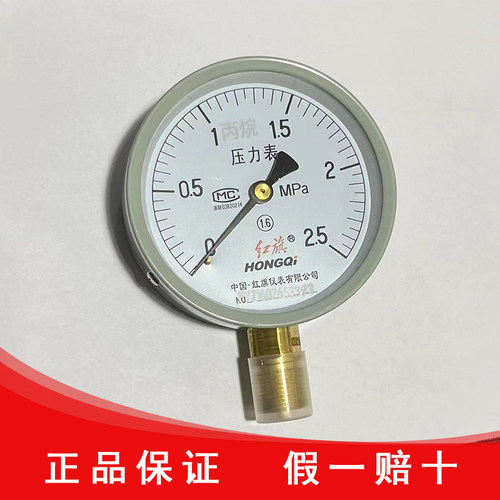 红旗仪表厂家直销二氧化碳氮气