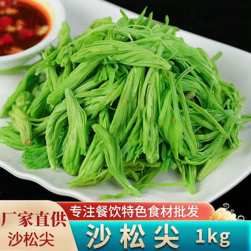 沙松尖特色凉拌火锅小炒酒店饭店餐饮商用半成品食材餐厅野菜素菜