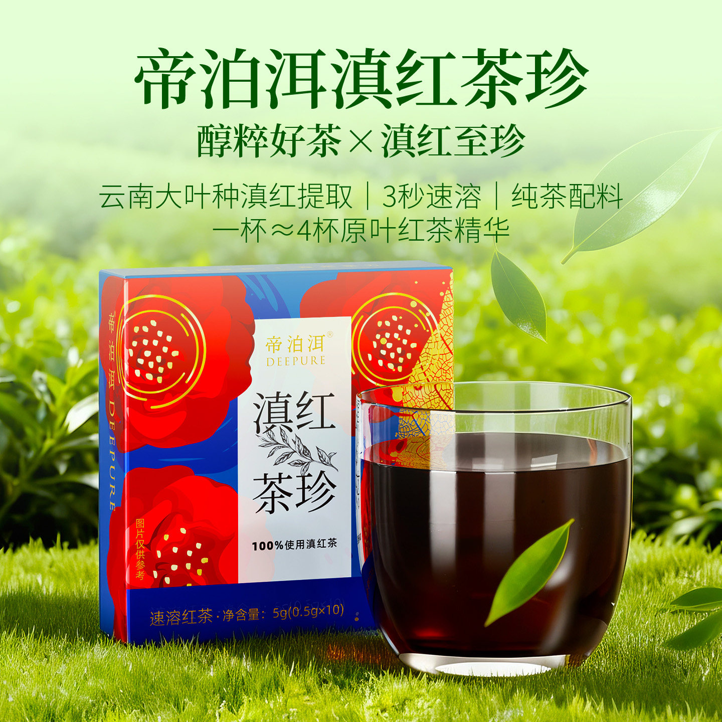 天士力帝泊洱滇红茶珍