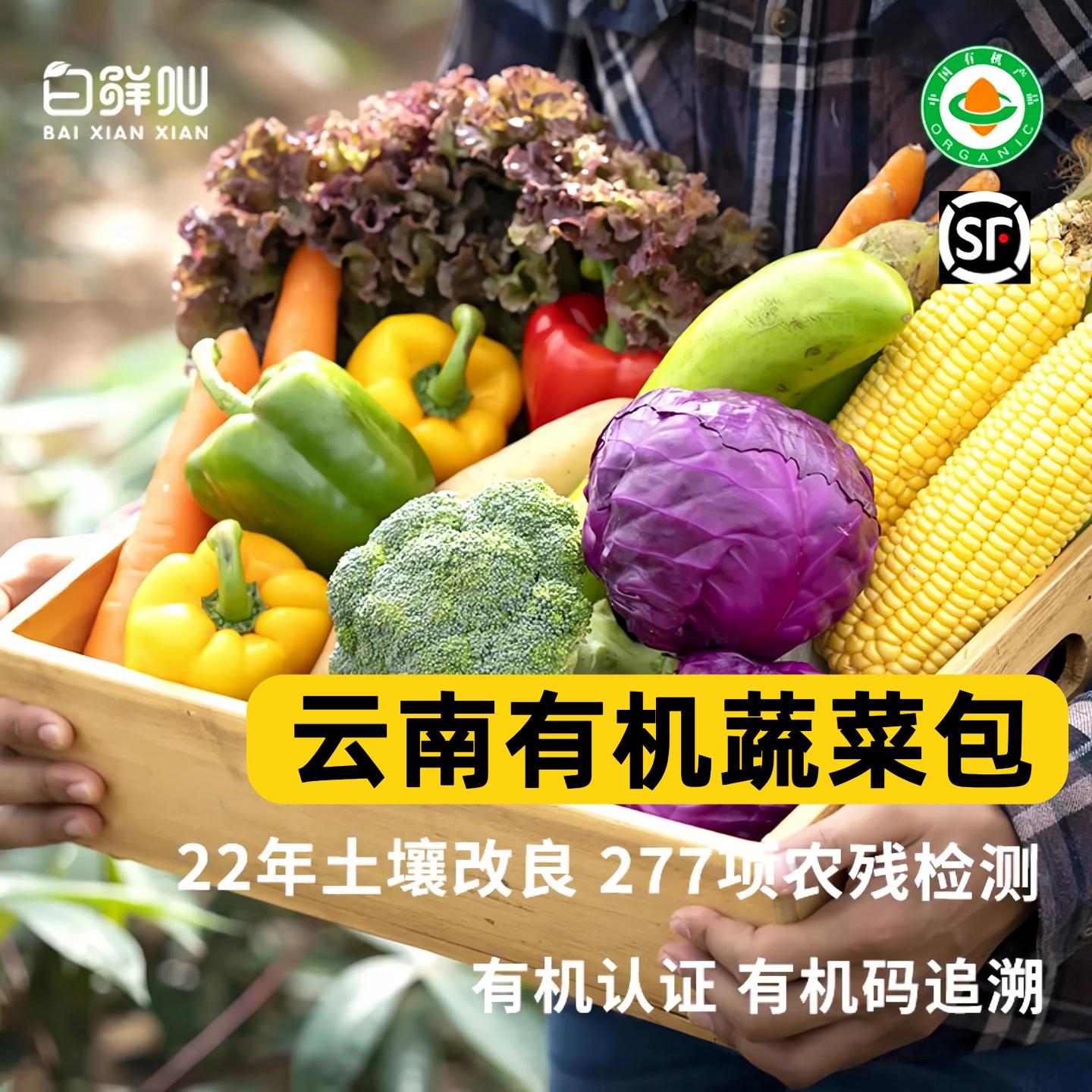 新品云南新鲜有机蔬菜可选品顺丰