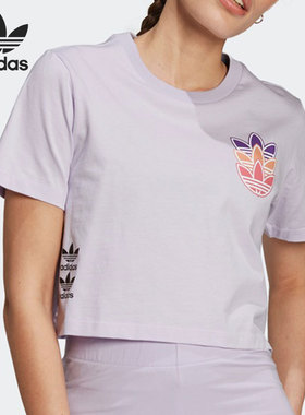 Adidas/阿迪达斯正品女子时尚透气宽松休闲运动短袖 H22754