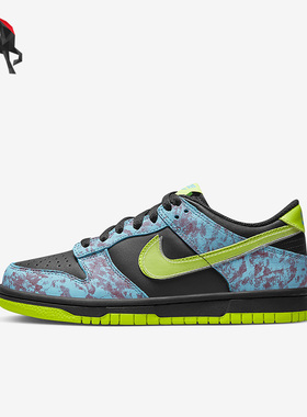 Nike/耐克正品Dunk Low SE 2女子GS大童款休闲运动板鞋DV1694-900