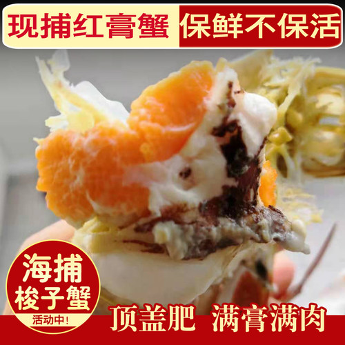 连云港红膏梭子蟹包肥到家