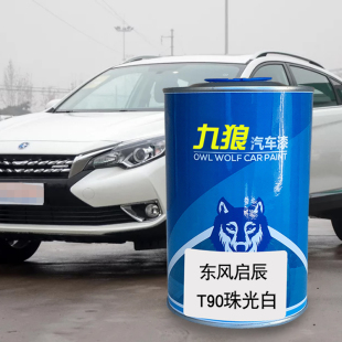 九狼汽车漆东成品风改启色车辰晨风T90修理厂珠光白晨风蓝月光银