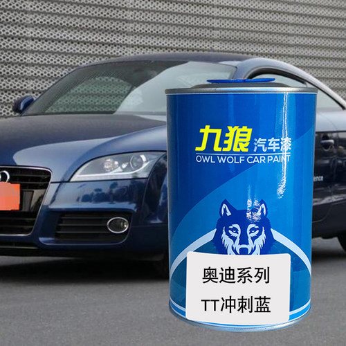 九狼汽车成品色漆奥油漆迪TTS改色漆冲刺蓝朱鹭白冰川白斯库巴蓝