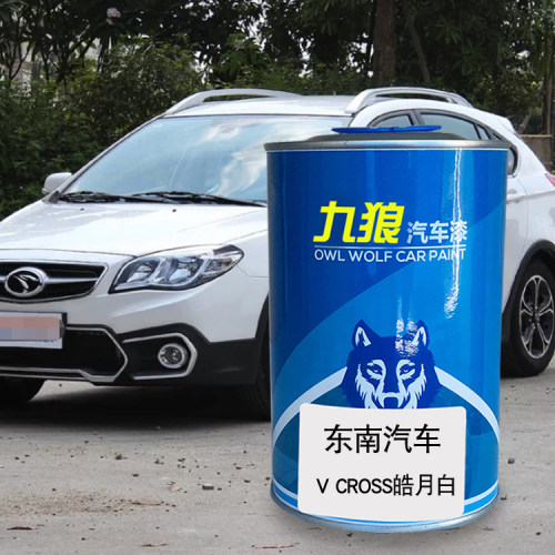 九狼汽车漆东成品南改色车喷烤漆DX3皓月白真心橙俊雅红珍珠白DX7 - 封面