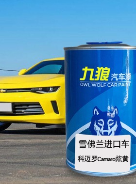 九狼汽车钣金全喷修补喷烤雪佛油漆兰闪电黄色戈壁灰炫黄钨金黑色