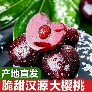 四川雅安汉源大樱桃车厘子黑珍珠新鲜当季现摘现发孕妇水果顺丰