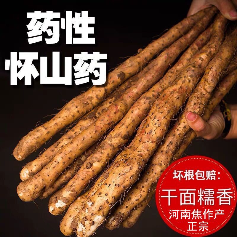 温县垆土铁棍山药 河南焦作正宗新鲜精品农家铁杆怀/淮山药 包邮