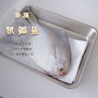 鲳鱼刺少海鱼宝宝无添加