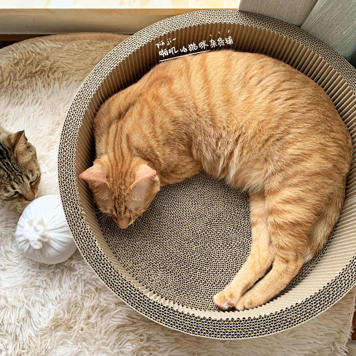 啪叽的猫咪杂货铺｜蒸笼屉可爱圆形抓板猫盆｜瓦楞纸大号猫窝耐抓