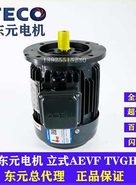 TECO东元电机0.37 0.75 1.5KW AEVF AEMV刹车制动马达电动机立式