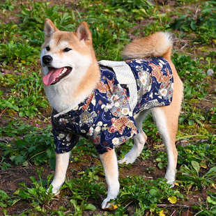 纯棉宠物狗狗猫咪衣服 柯基柴犬衣服日式公狗男款拍照和服浴衣