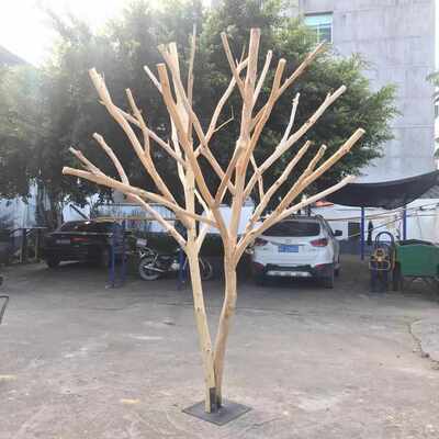 天然原木色造型枯树树干树枝装饰树杈实木展示衣帽架