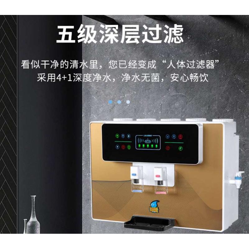 语音净水器家用加热一体直饮自来水过滤器纯水机挂壁厨房ro反渗