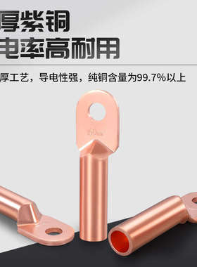 国标A级DT铜鼻子10/16/25/35/50/70/95/150/185/240平方接线端子