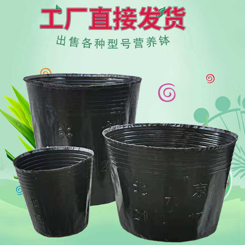 优先营养鉢黑色塑料育苗杯育苗袋育苗盆一次性花盆加厚8*8营养杯
