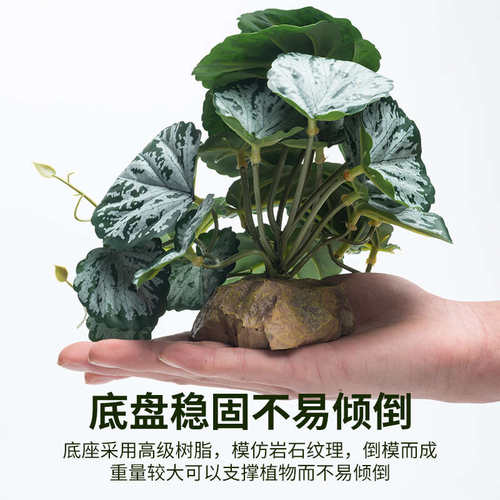 仿真植物爬宠饲养箱造景绿植陆龟蜥蜴变色龙守宫角蛙雨林躲避装饰