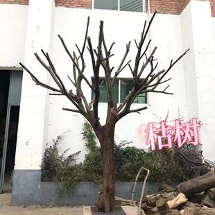 精品猫爬架枯树干实木树枝树杈造型树服装店橱窗装饰假树造景套装