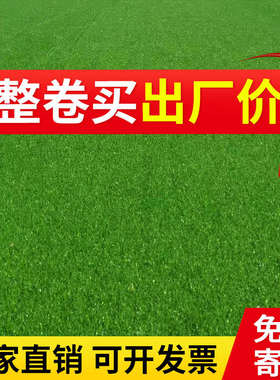 仿真草坪铺地毯塑料假绿植人工草皮围挡人造户外室外装饰绿色垫子