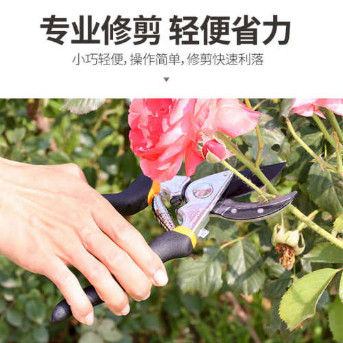 进口SK5剪刀 树枝剪果树修枝剪花剪园林绿化工具粗枝尖子园艺剪刀