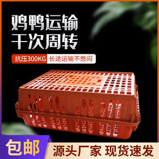 鸡笼周转箱鸡笼子运输笼周转家用养鸡笼养殖笼鸡笼塑料笼鸡筐方便