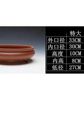 紫砂花盆文人提根景种植肉树桩阳台室内桌面菖蒲造景组合多植物