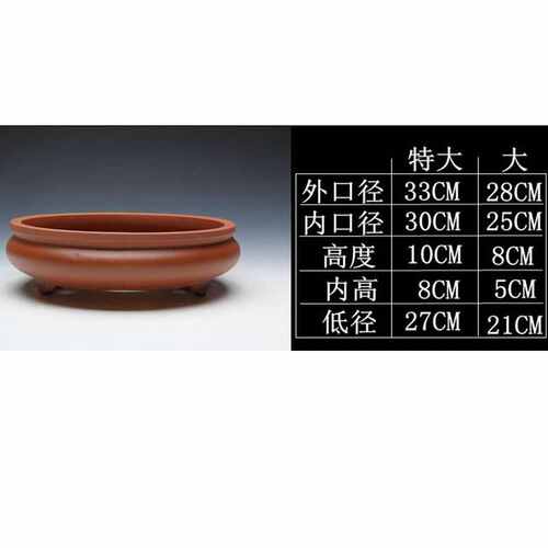 紫砂花盆文人提根景种植肉树桩阳台室内桌面菖蒲造景组合多植物