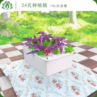 24孔水培种植箱 幸运买家无土栽培设备家庭阳台育苗蔬菜种菜机