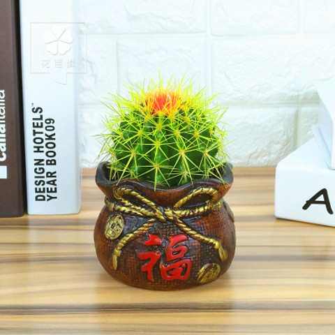 仙人球盆栽室内办公室桌面小绿植可爱植物好养易成活多肉趣味观赏