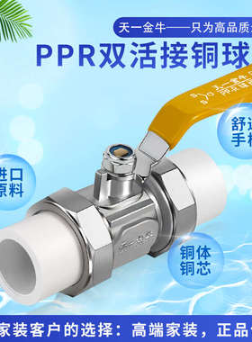 天一 金牛 家装PPR双头活接铜球阀20 25 32 4分 6分 ppr水管配件