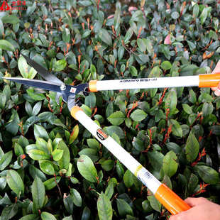 进口园林花木修剪绿篱剪大剪刀园艺绿化草坪修枝剪工具篱笆剪树枝