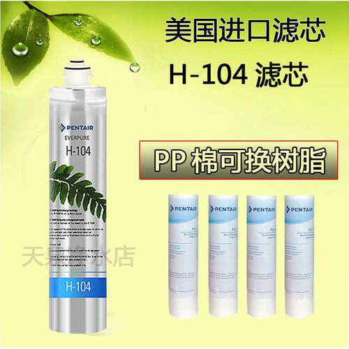 美国爱惠浦H104主滤芯H100净水器滤芯 家用厨房过滤器直饮机包