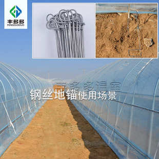 温室大棚钢丝地锚防锈地钩固定压膜拉线预埋高强度耐腐蚀加粗地桩