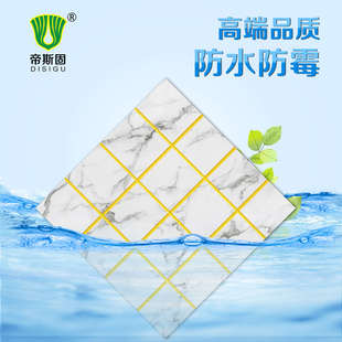 帝斯固靓瓷王瓷砖地砖专用美缝剂防霉填缝剂家用瓷缝剂