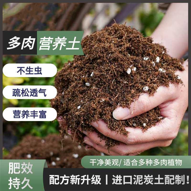 包邮10斤多肉石多多培育营养养花土专用铺面肉土肉泥炭土种植颗粒