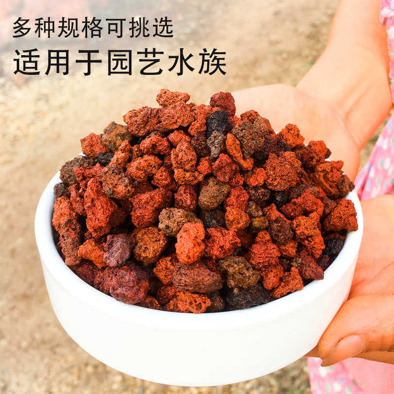 腾冲天然火山石颗粒100斤更划算多肉兰花卉铺面鱼缸过滤材料专用,鲜花速递/花卉仿真/绿植园艺,介质/营养土,淘宝优惠券,粉丝福利购,淘宝优惠卷