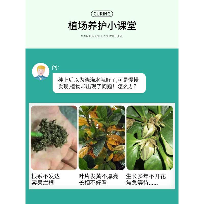 栀子花肥料专用肥栀子花专用营养液养花植物磷钾肥花肥磷酸二氢