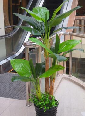 包邮仿真植物仿真装饰假树4叉2米2高芭蕉树大型落地盆景假绿植
