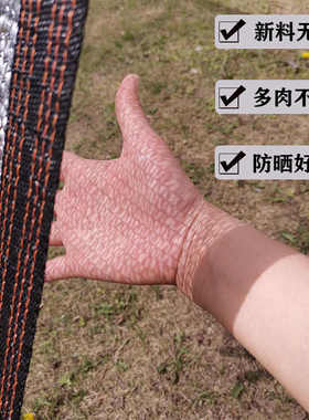 3针银灰色遮阳网多肉防晒网兰花遮阴网花卉大棚抗老化4针遮阳网
