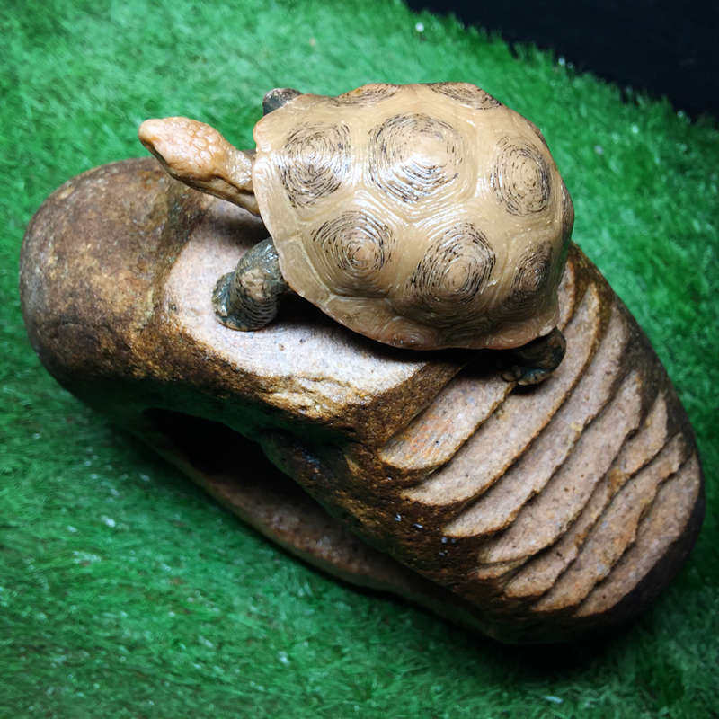 乌龟阶梯斜坡晒台爬台 石头桥洞躲避攀爬架 鱼虾蟹守宫两栖嬉戏岛,宠物/宠物食品及用品,爬宠躲避/造景,淘宝优惠券,粉丝福利购,淘宝优惠卷