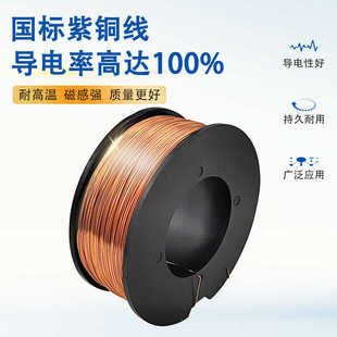 18圆形强吸力电磁铁工业起重牵引电吸盘吸力20KG直流24V1 朗硕P34