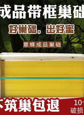 39 42 45 46 48.8中蜂意蜂成品巢框不锈钢丝浅继箱蜜蜂带框巢础