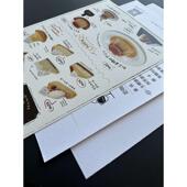 a4打印纸 封面纸粗面绘画 质感花纹纸 180克丽绮纹250克美岩纹