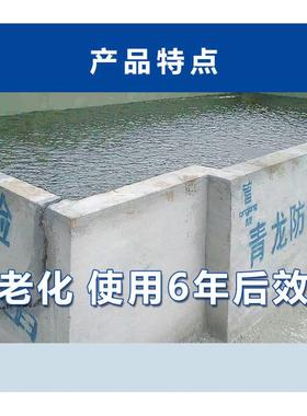青龙CQ101HG203防水密封涂料专用水泥屋面水池聚氨酯环保防水材料