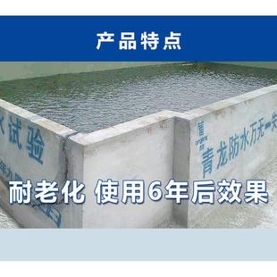 青龙CQ101HG203防水密封涂料专用水泥屋面水池聚氨酯环保防水材料